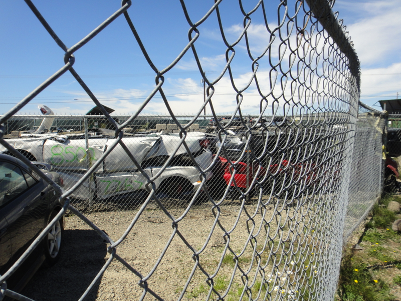 Dirty Diesel VWs, pretty surprised to see them here